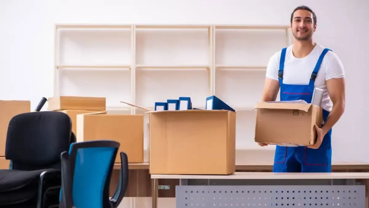 Best Theresa Town Movers Near Me – Premium Theresa Town, NY Moving Companies