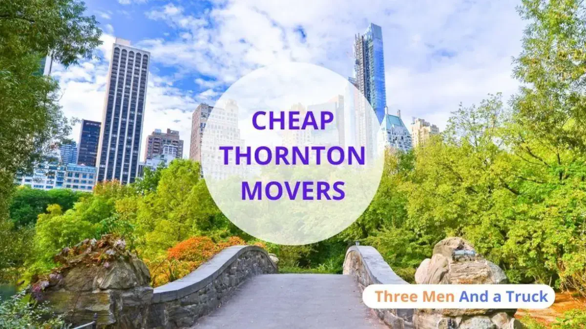 Best Thornton Movers Near Me – Premium Thornton, CO Moving Companies