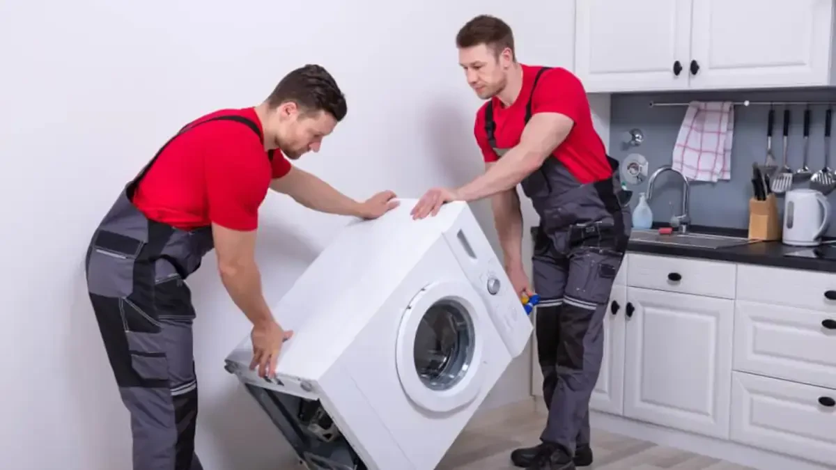 Best Thurston County Movers Near Me – Premium Thurston County, NE Moving Companies