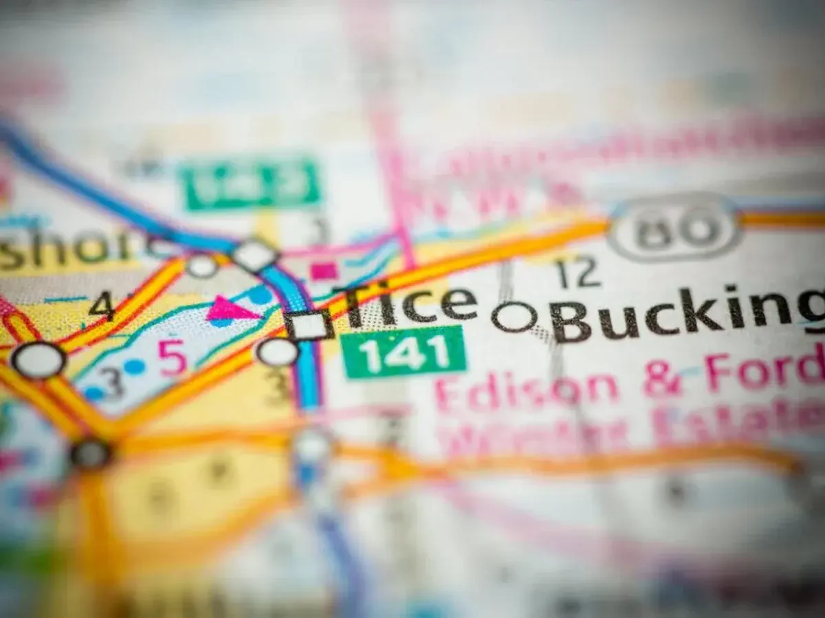 Best Tice Movers Near Me – Premium Tice, FL Moving Companies