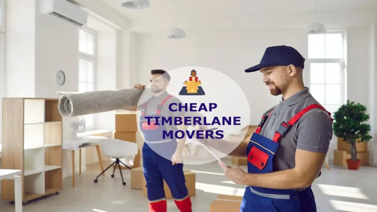 Best Timberlane Movers Near Me – Premium Timberlane, LA Moving Companies