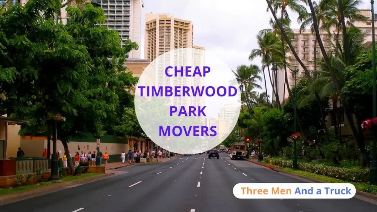 Best Timberwood Park Movers Near Me Premium Moving Companies