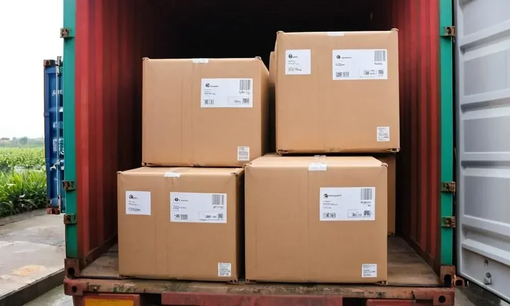 State to State Moving Service