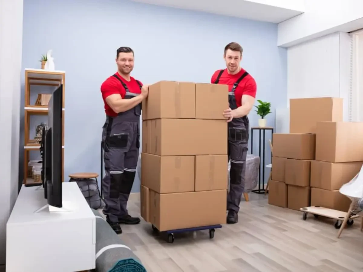 Best Trail Creek Movers Near Me – Premium Trail Creek, IN Moving Companies