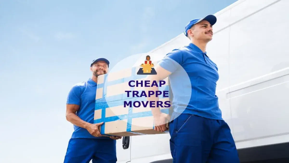 Best Trappe Movers Near Me – Premium Trappe, MD Moving Companies