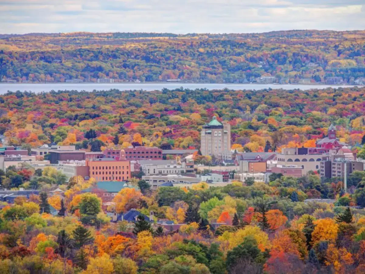 Best Traverse City Movers Near Me Premium Moving Companies