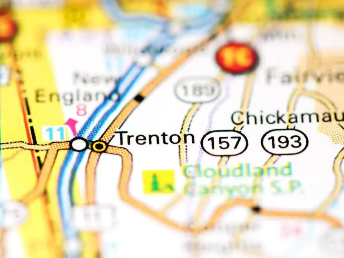 Best Trenton Movers Near Me – Premium Trenton, GA Moving Companies