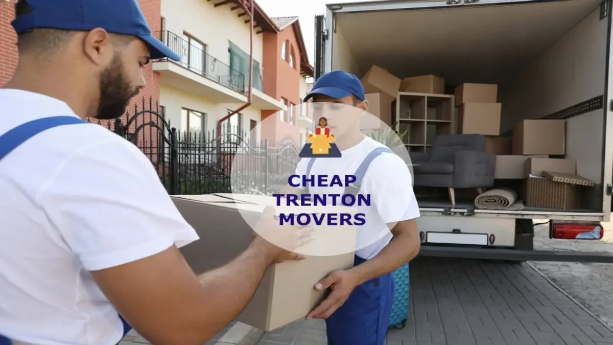 Best Trenton Movers Near Me – Premium Trenton, TN Moving Companies