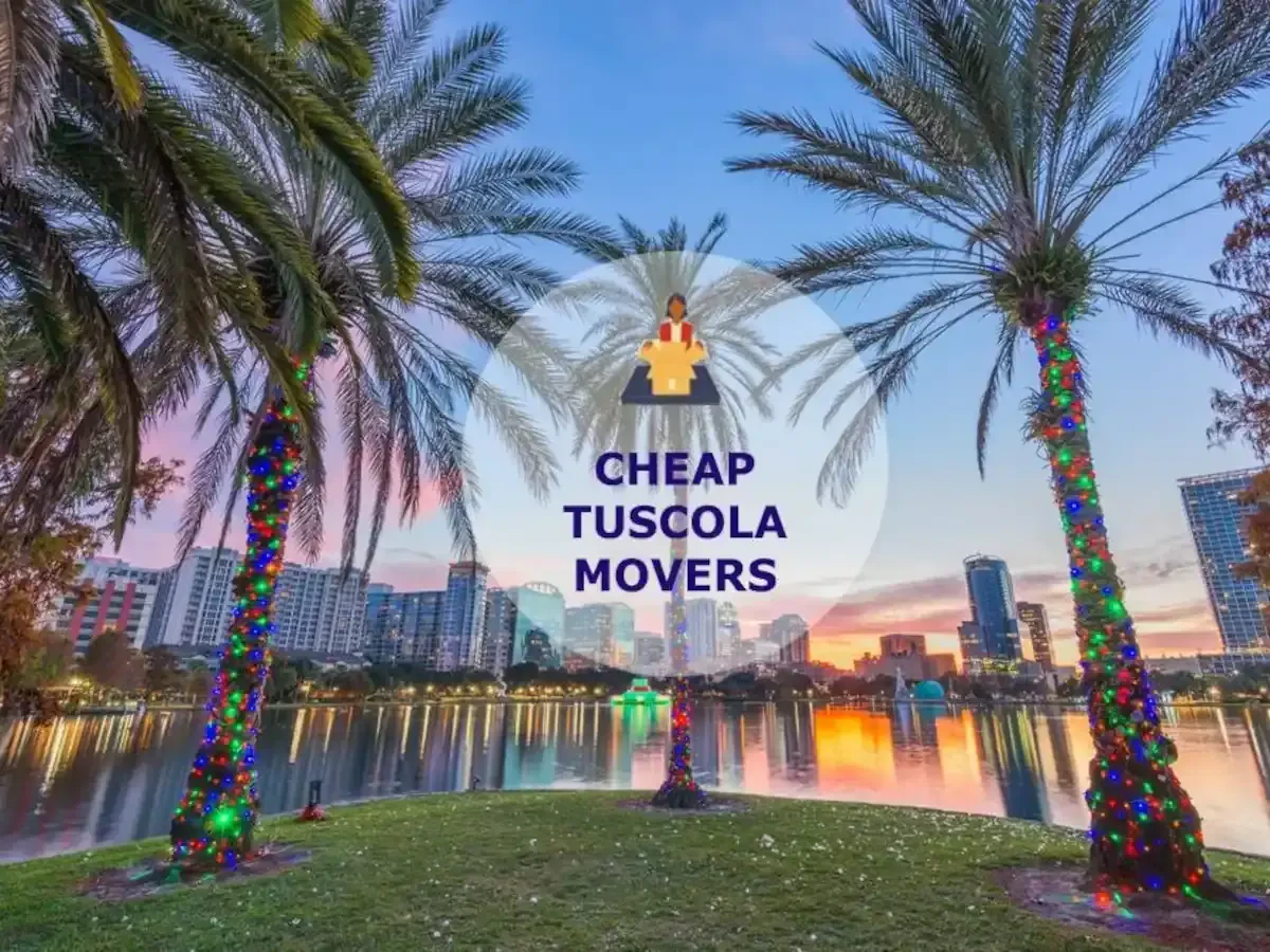 Best Tuscola Movers Near Me – Premium Tuscola, IL Moving Companies