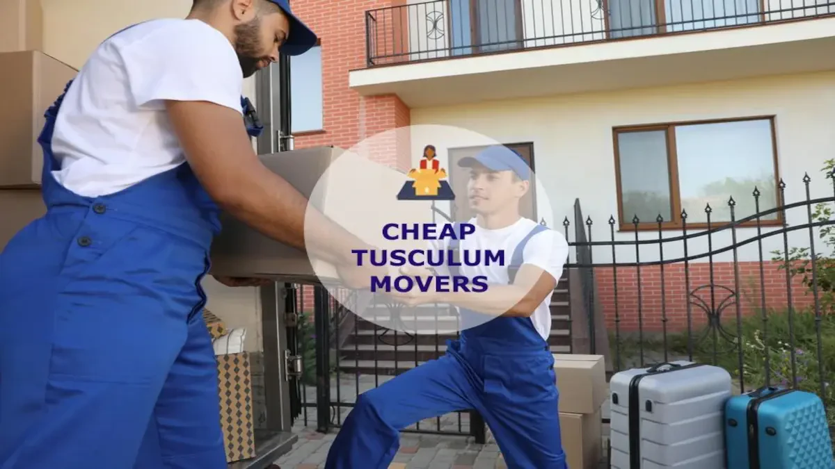Best Tusculum Movers Near Me – Premium Tusculum, TN Moving Companies