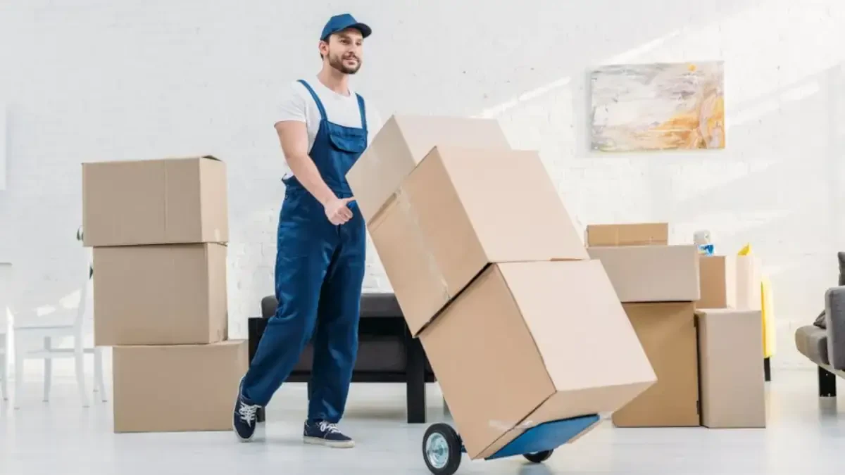 Best Unadilla Town Movers Near Me – Premium Unadilla Town, NY Moving Companies