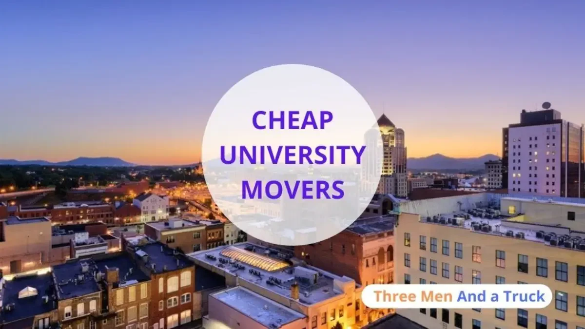 Best University Movers Near Me – Premium University, FL Moving Companies