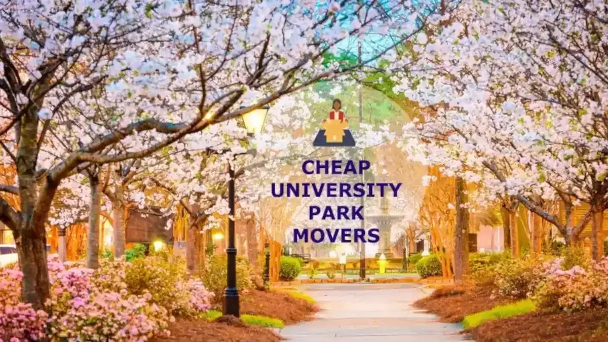 Best University Park Movers Near Me – Premium University Park, FL Moving Companies