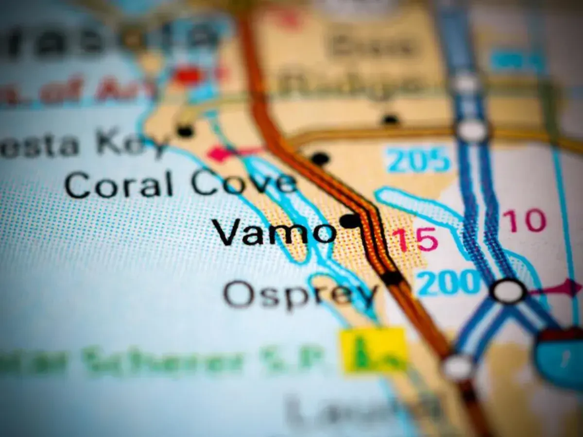 Best Vamo Movers Near Me – Premium Vamo, FL Moving Companies