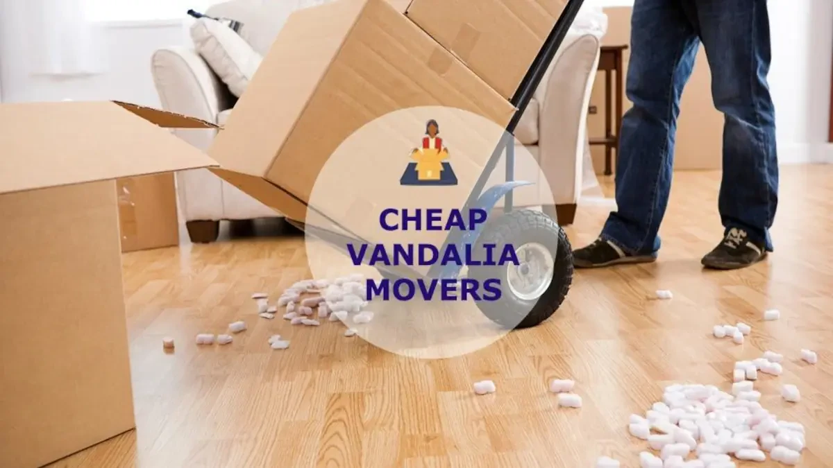 Best Vandalia Movers Near Me With Premium  Moving Companies