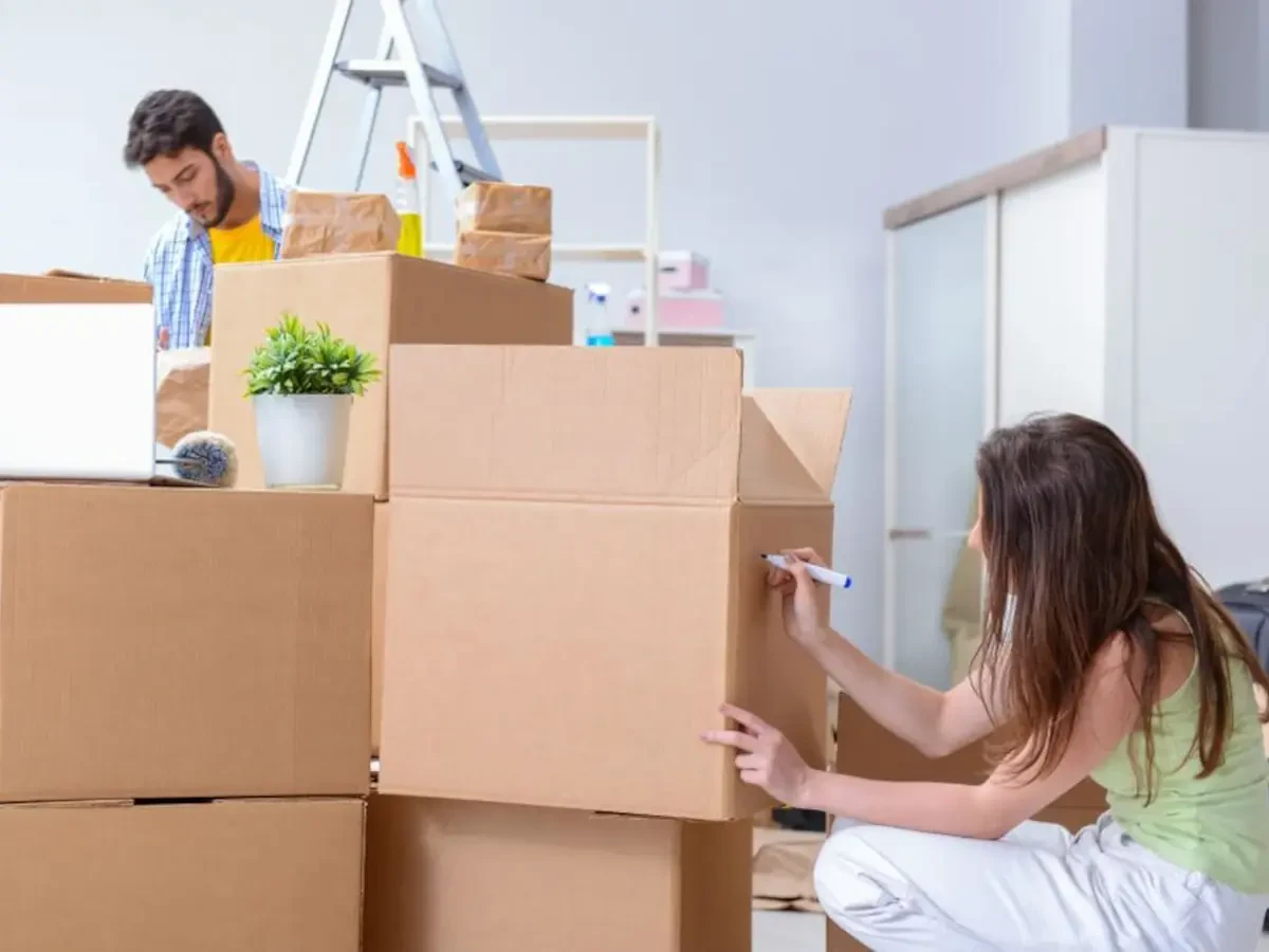 Virginia Beach to Manassas Movers Near Me