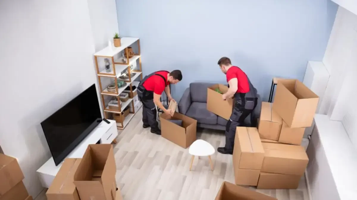 Best Viroqua Movers Near Me – Premium Viroqua, WI Moving Companies
