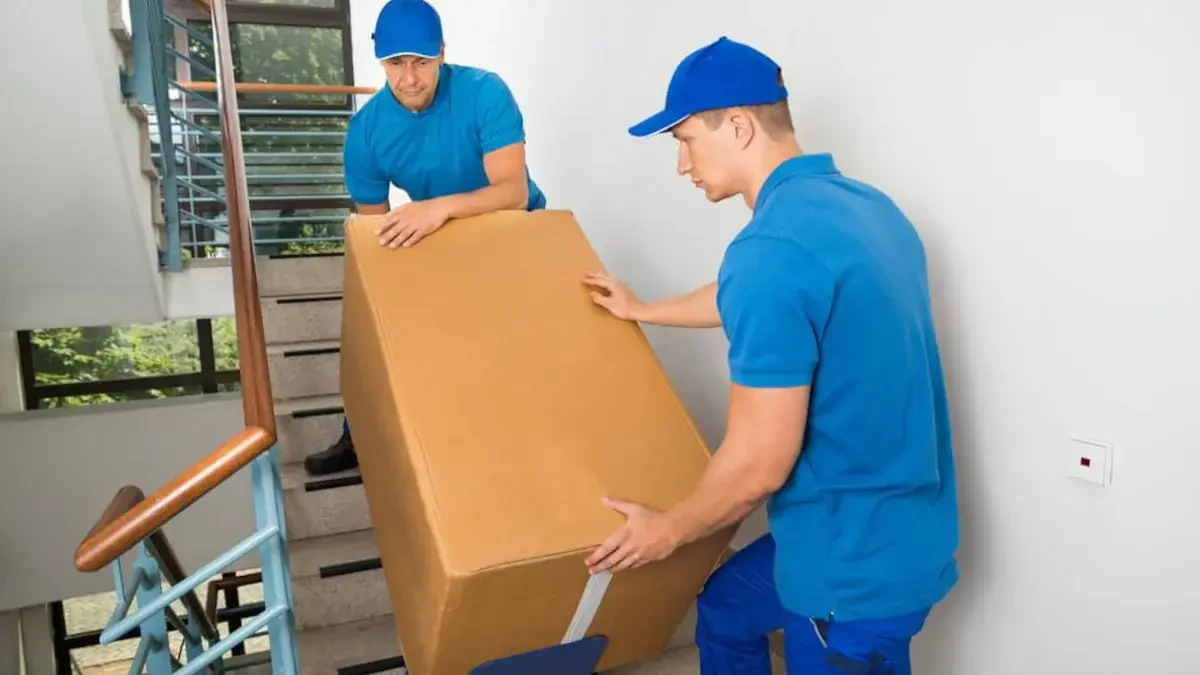 Best Wabasha County Movers Near Me – Premium Wabasha County, MN Moving Companies