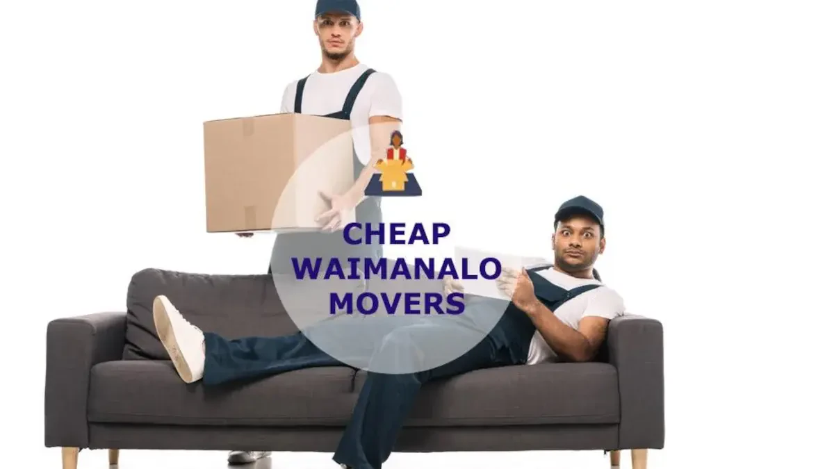 Best Waimanalo Movers Near Me – Premium Waimanalo, HI Moving Companies