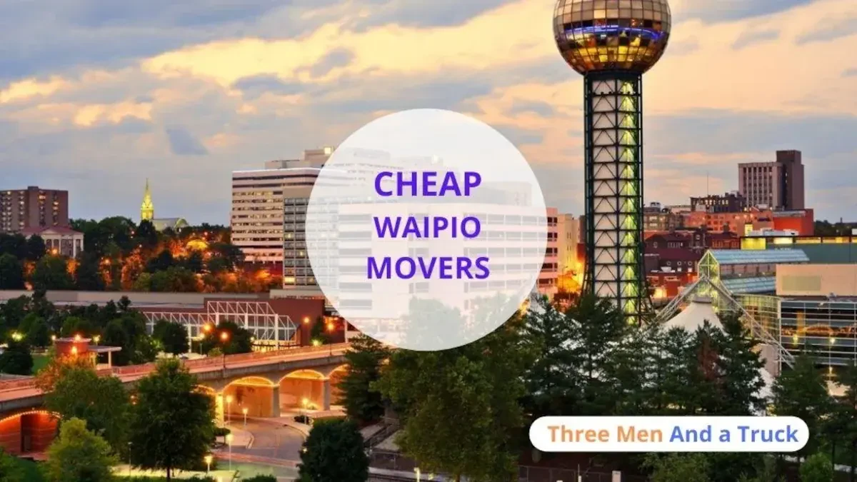 Best Waipio Movers Near Me – Premium Waipio, HI Moving Companies