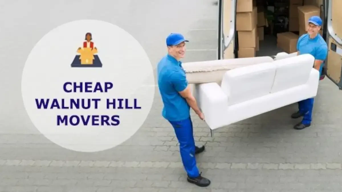 Best Walnut Hill Movers Near Me – Premium Walnut Hill, TN Moving Companies