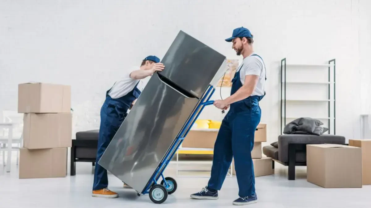 Best Ward County Movers Near Me – Premium Ward County, TX Moving Companies