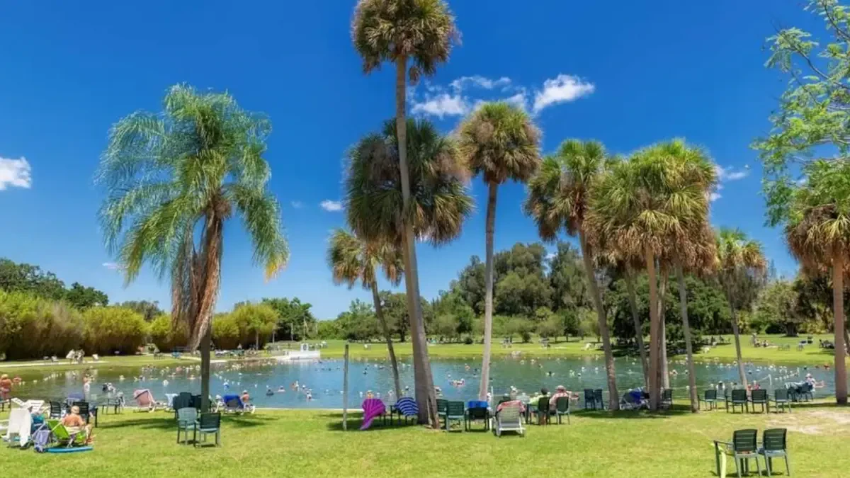 Best Warm Mineral Springs Movers Near Me – Premium Warm Mineral Springs, FL Moving Companies