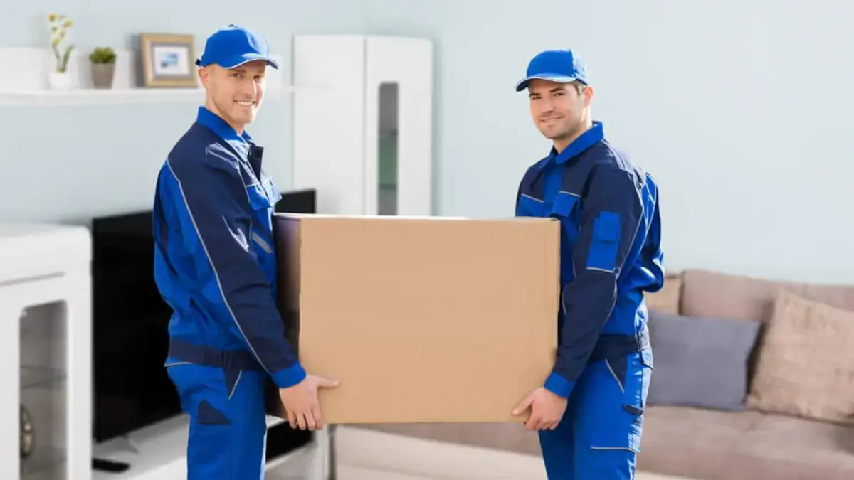 Best Washington County Movers Near Me – Premium Washington County, TX Moving Companies