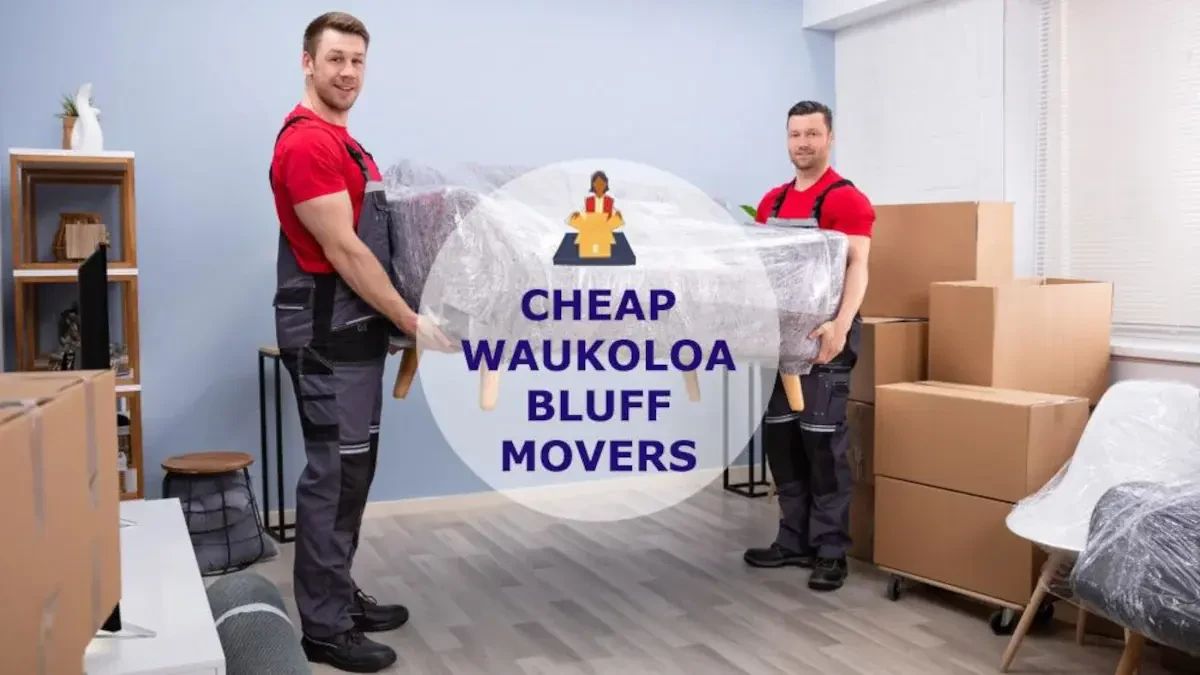 Best Waukoloa Bluff Movers Near Me – Premium Waukoloa Bluff, HI Moving Companies