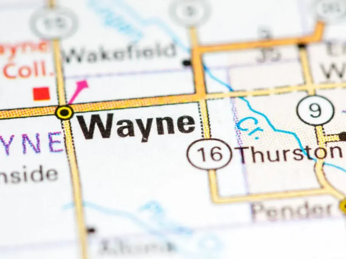 Best Wayne Movers Near Me – Premium Wayne, NE Moving Companies