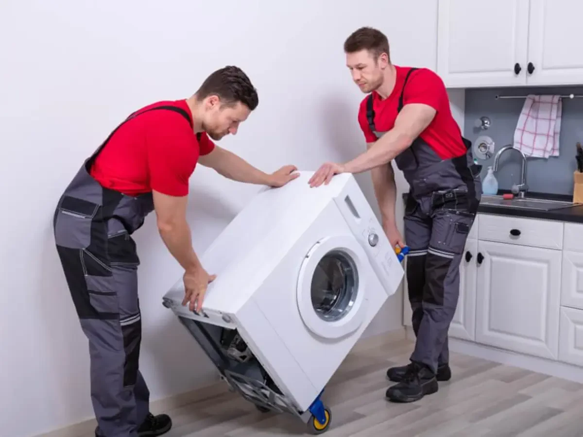 Best Webster County Movers Near Me – Premium Webster County, MO Moving Companies