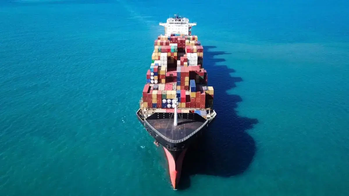 International Moving Company Wellington