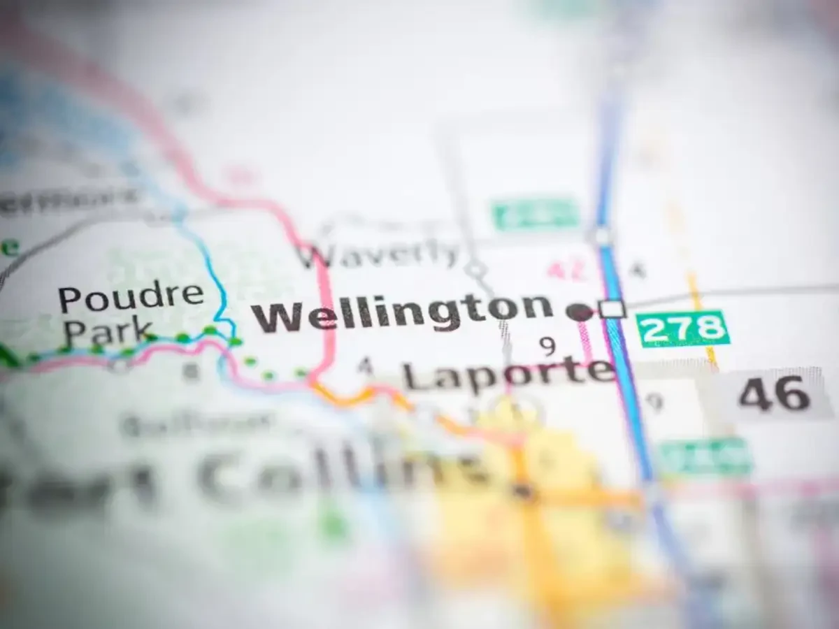 Best Wellington Movers Near Me – Premium Wellington, CO Moving Companies