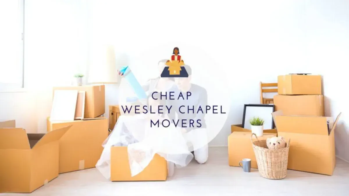 Best Wesley Chapel Movers Near Me – Premium Wesley Chapel, FL Moving Companies