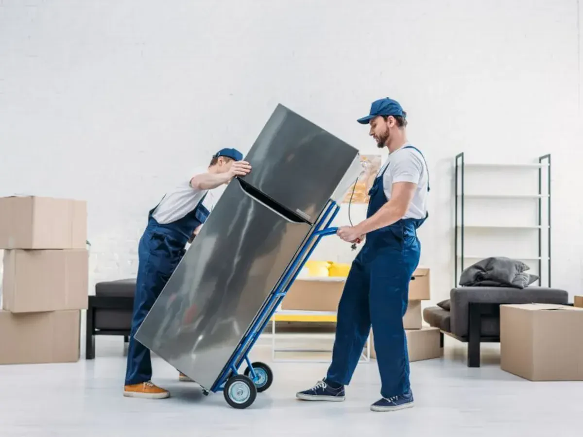 Best West Carroll Parish Movers Near Me – Premium West Carroll Parish, LA Moving Companies