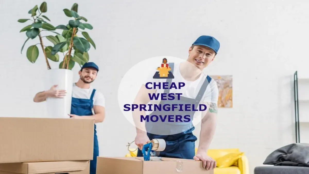 Best West Springfield Movers Near Me – Premium West Springfield, MA Moving Companies