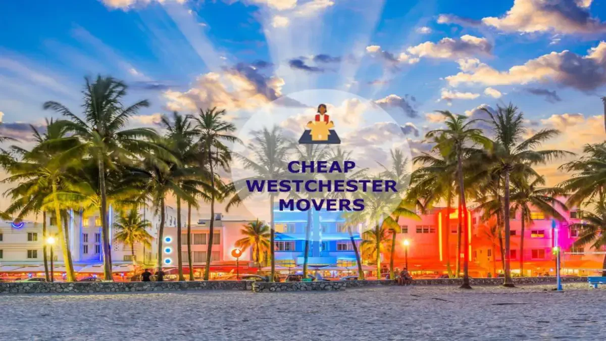 Best Westchester Movers Near Me – Premium Westchester, IL Moving Companies