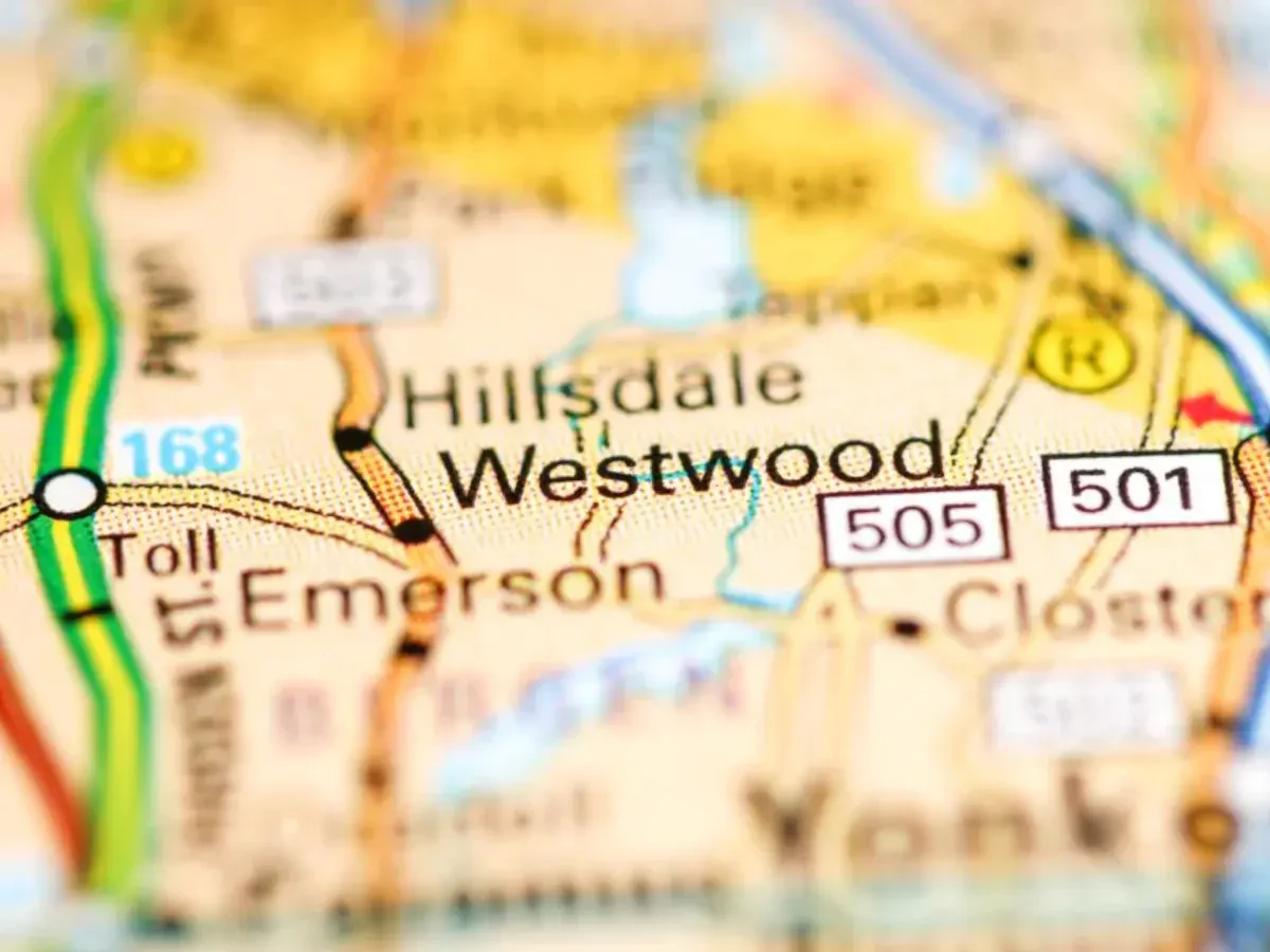 Best Westwood Movers Near Me Top Premium Moving Companies