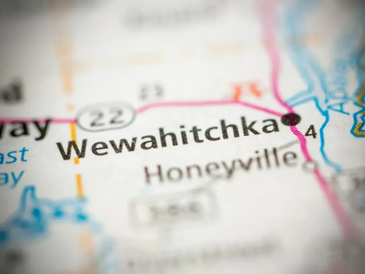 Best Wewahitchka Movers Near Me – Premium Wewahitchka, FL Moving Companies