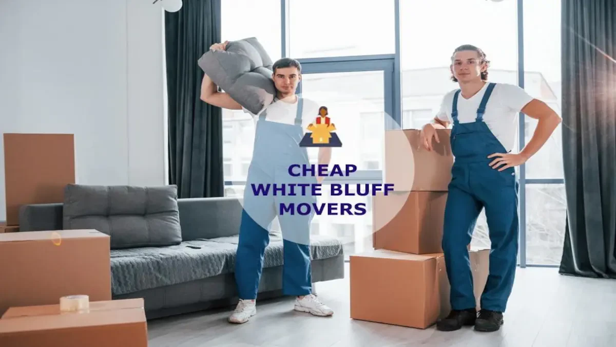 Best White Bluff Movers Near Me – Premium White Bluff, TN Moving Companies