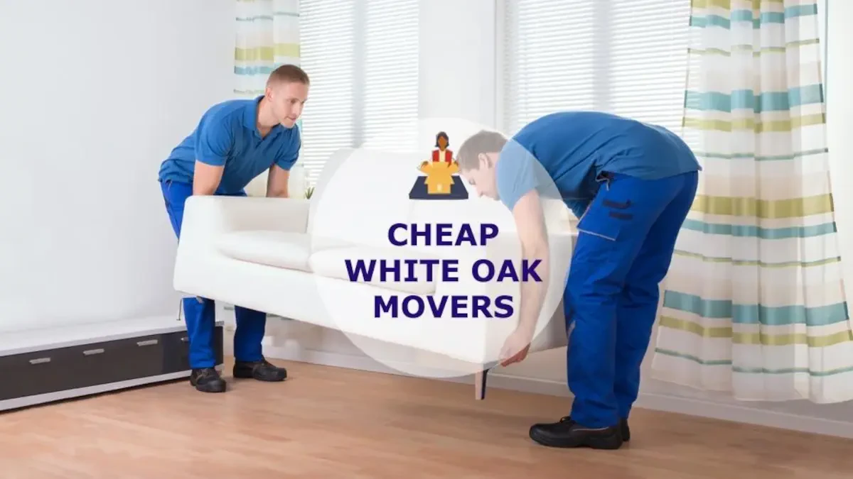 Best White Oak Movers Near Me – Premium White Oak, OH Moving Companies