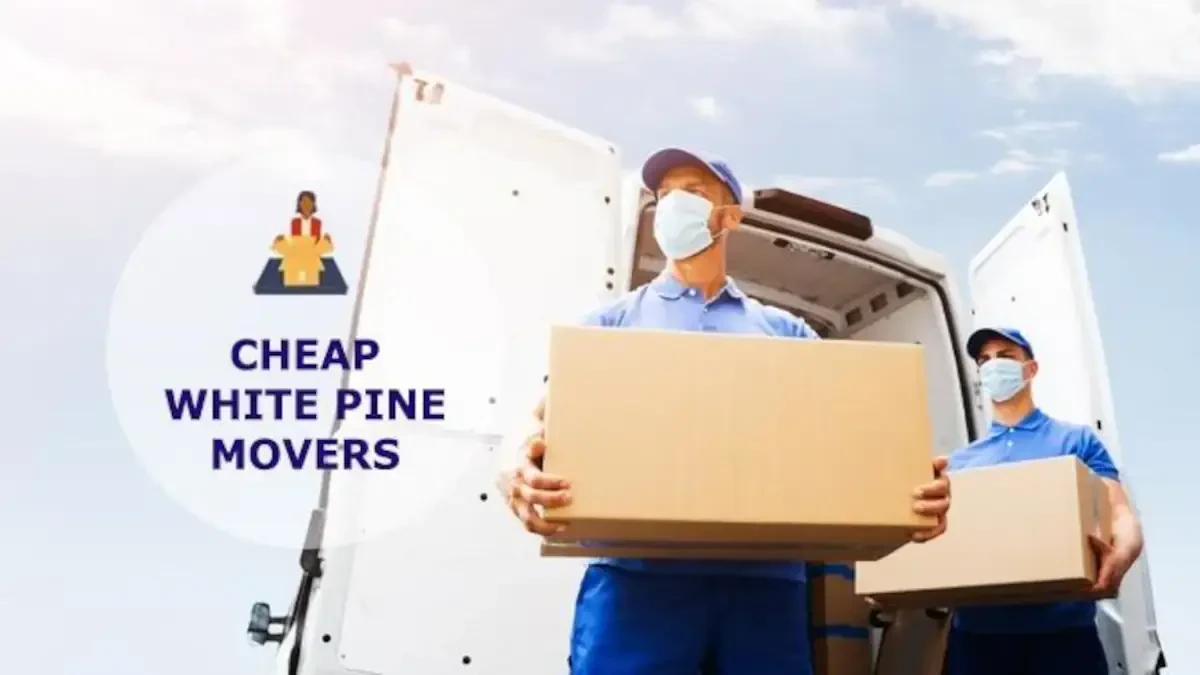 Best White Pine Movers Near Me – Premium White Pine, TN Moving Companies