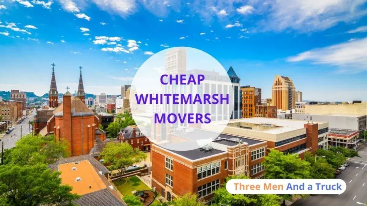 Best Whitemarsh Movers Near Me – Premium Whitemarsh, PA Moving Companies