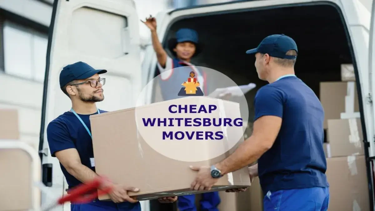 Best Whitesburg Movers Near Me – Premium Whitesburg, KY Moving Companies
