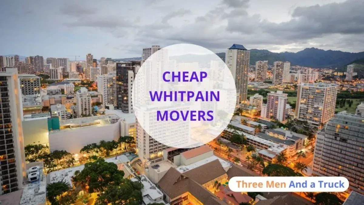 Best Whitpain Movers Near Me – Premium Whitpain, PA Moving Companies