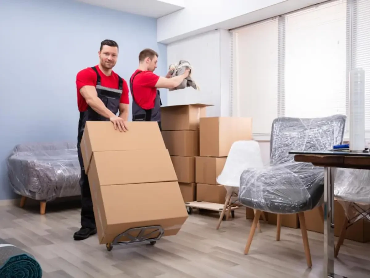 Best Williams County Movers Near Me – Premium Williams County, ND Moving Companies