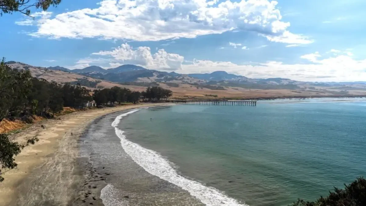 Best Williams Movers Near Me – Premium Williams, CA Moving Companies