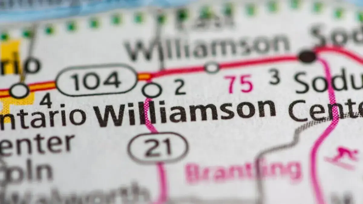 Best Williamson Movers Near Me – Premium Williamson, NY Moving Companies