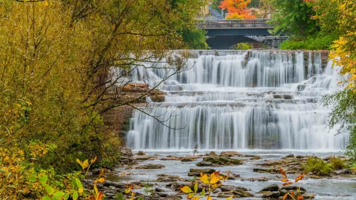 Best Williamsville Movers Near Me – Premium Williamsville, NY Moving Companies