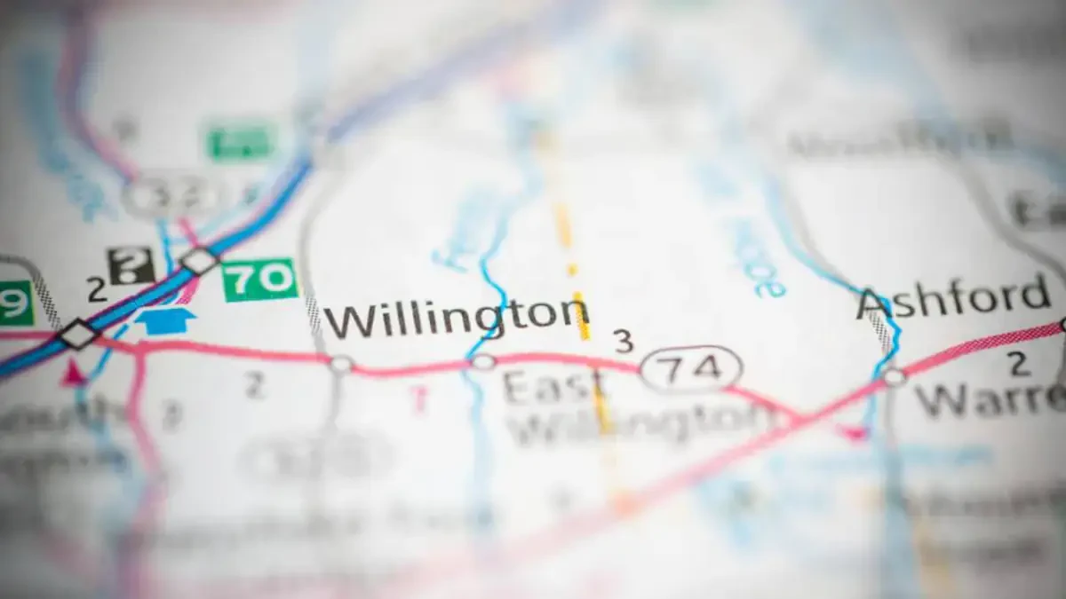 Best Willington Movers Near Me With Premium Moving Companies